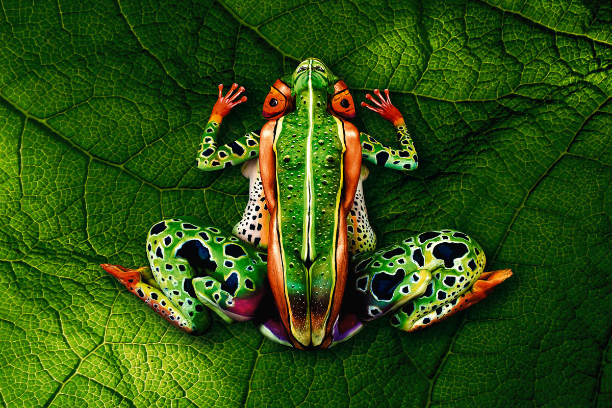 Frosch aus kunstvoll bemahlten Körpern von Johannes Stötter auf einem grünen Blatt