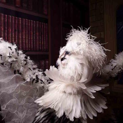 Performer in a white feathered bird costume with outstretched arms inside a room with bookshelves and candlelight.
