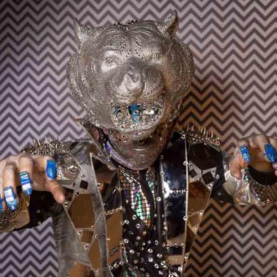 Performer wearing a silver animal head mask and mirrored costume reaching forward against a patterned background.