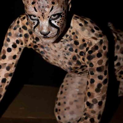 Person painted as a spotted big cat, crouching on all fours against a dark background.